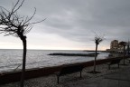 Imperia Imperia