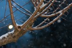 e neve fu! e neve fu!