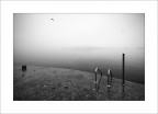 tuffo nell'ignoto tuffo nell'ignoto