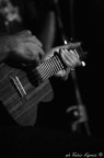 blues 2190 blues 2190