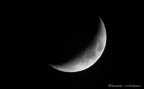 Luna Crescente... Luna Crescente...