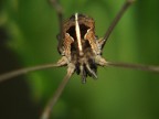 macro da buttare ma............... macro da buttare ma...............