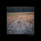 L'inverno L'inverno