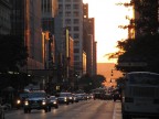 NY city NY city