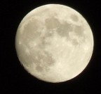 Luna Luna