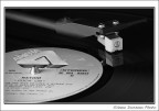Vinile Vinile