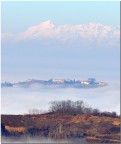 isolabella isolabella