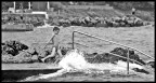 Palla di mare Palla di mare