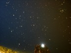 i pesci nel cielo i pesci nel cielo