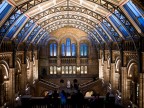 Natural History Museum London