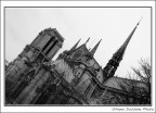 Notre-Dame Notre-Dame