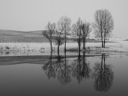 il riflesso il riflesso