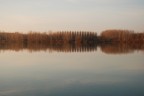 Tramonto sul Po Tramonto sul Po