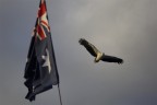 land-down-under land-down-under
