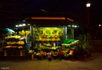 Fiori di notte Fiori di notte