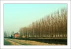 Fughe verso casa Fughe verso casa