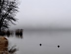 Lago di Caldonazzo Lago di Caldonazzo