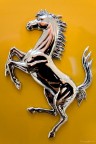 Museo Galleria Ferrari - Maranello (MO) Museo Galleria Ferrari - Maranello (MO)