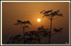 La mia Africa La mia Africa