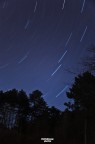 Stars' Scars Stars' Scars