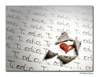 Ti odio, ma......