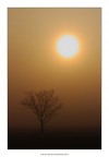 Nebbia al mattino Nebbia al mattino