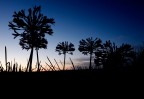 Tramonto Tramonto