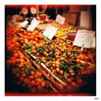 A lomo-market A lomo-market