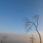 Alberi, 3 Alberi, 3