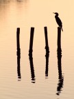 Sunset Relax Sunset Relax