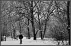 ...PENSANDO.... ...PENSANDO....