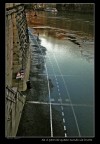 Se vi pare che questo mondo sia brutto Se vi pare che questo mondo sia brutto