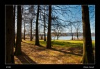 PRIMA DEL LAGO PRIMA DEL LAGO