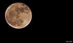 La mia prima luna piena... La mia prima luna piena...