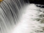 acqua acqua