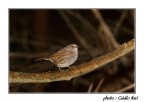 s.t. s.t.