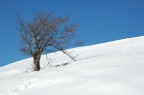 Il duro inverno Il duro inverno