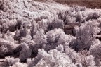 Immersa nel bianco .:ir:. Immersa nel bianco .:ir:.