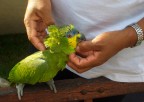 Voglia di coccole...