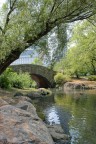 New York - Central Park New York - Central Park