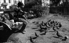 Un pranzo per due Un pranzo per due