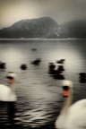 Bled Lake Bled Lake