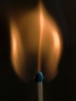 tulipano di....fuoco!! tulipano di....fuoco!!