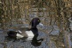 e questo/a cos'è? e questo/a cos'è?