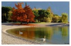Sabbioni in autunno (lago di Garda) Sabbioni in autunno (lago di Garda)