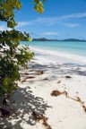 paradiso paradiso