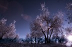 Il flare in ir Il flare in ir