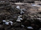come al solito attendo i vostri preziosi suggerimenti.
Ecco i dati di scatto:
lunghezza focale 44,6 - F 4,4 - 1/640