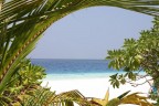 Maldive Maldive