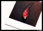 Hot Water is Hot Water is